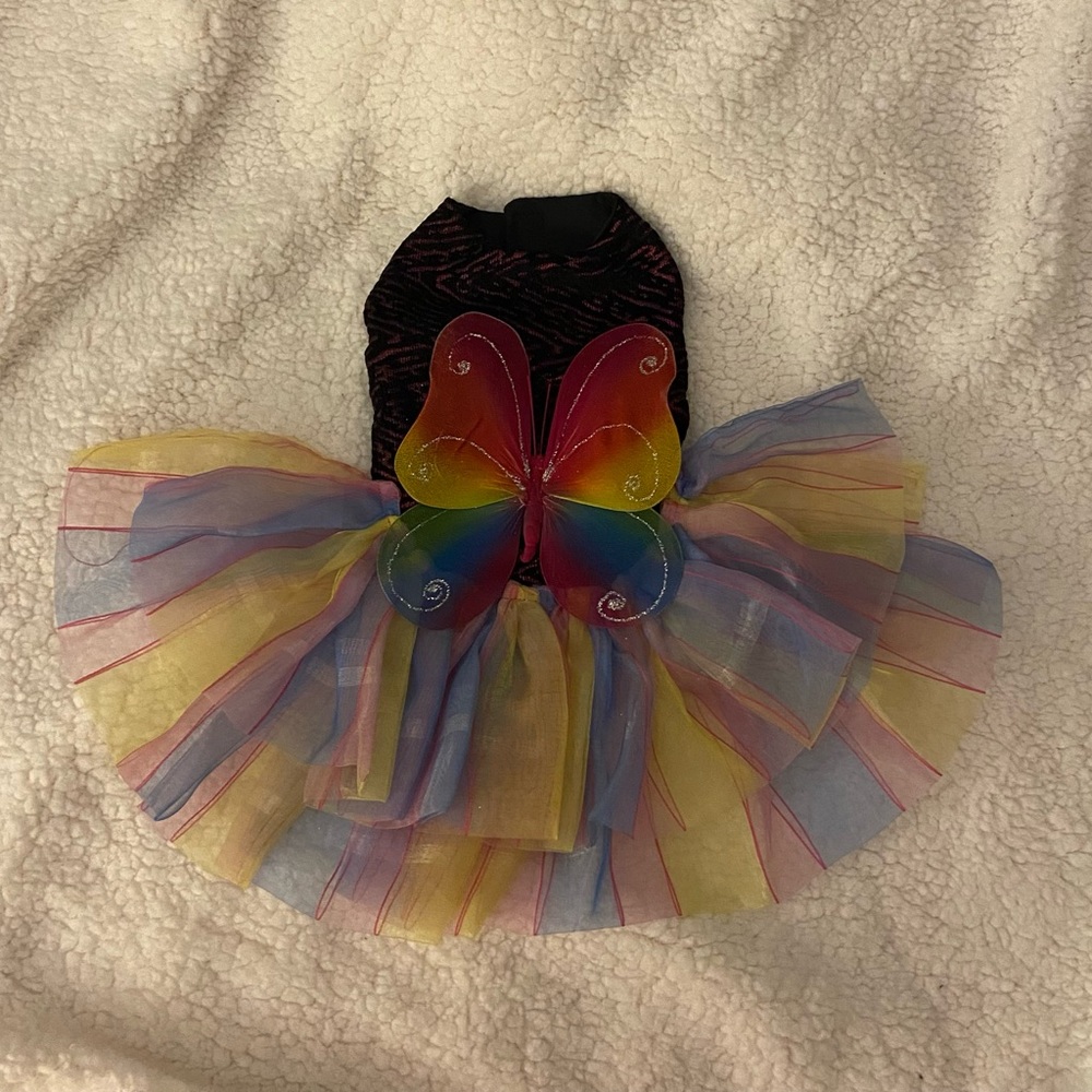 BNWOT Female pet butterfly party dress